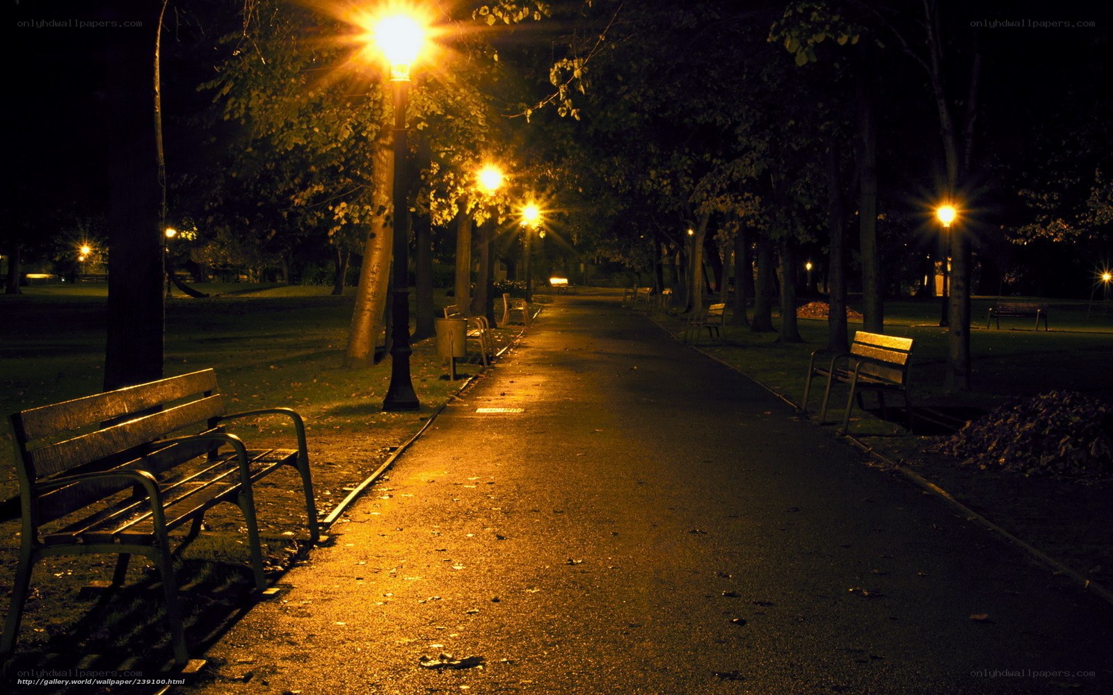 Empty park path at night