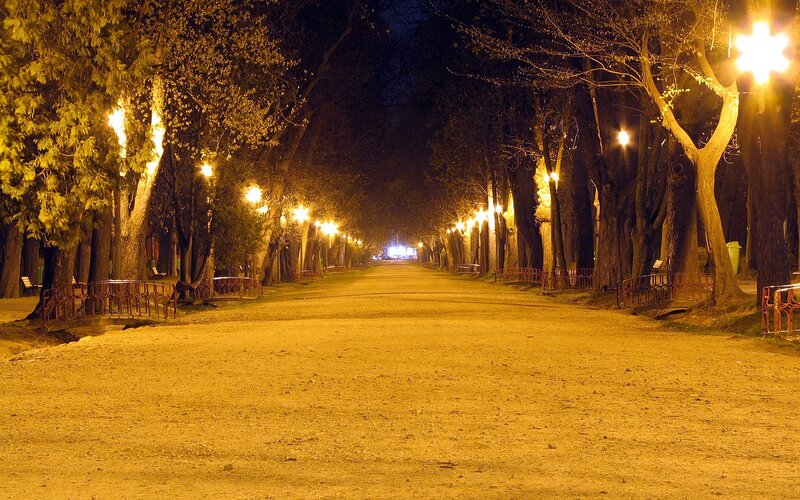 Empty park path at night