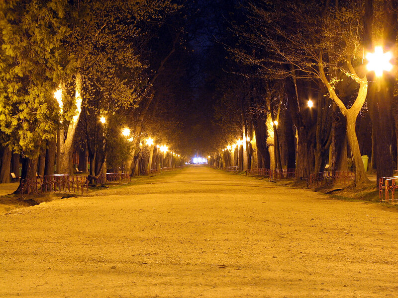 Empty park path at night