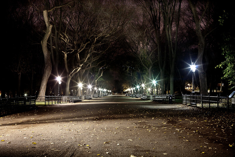 Empty Park Path at Night — Black, Serene