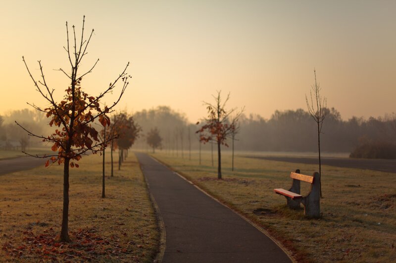 Empty park path at sunrise