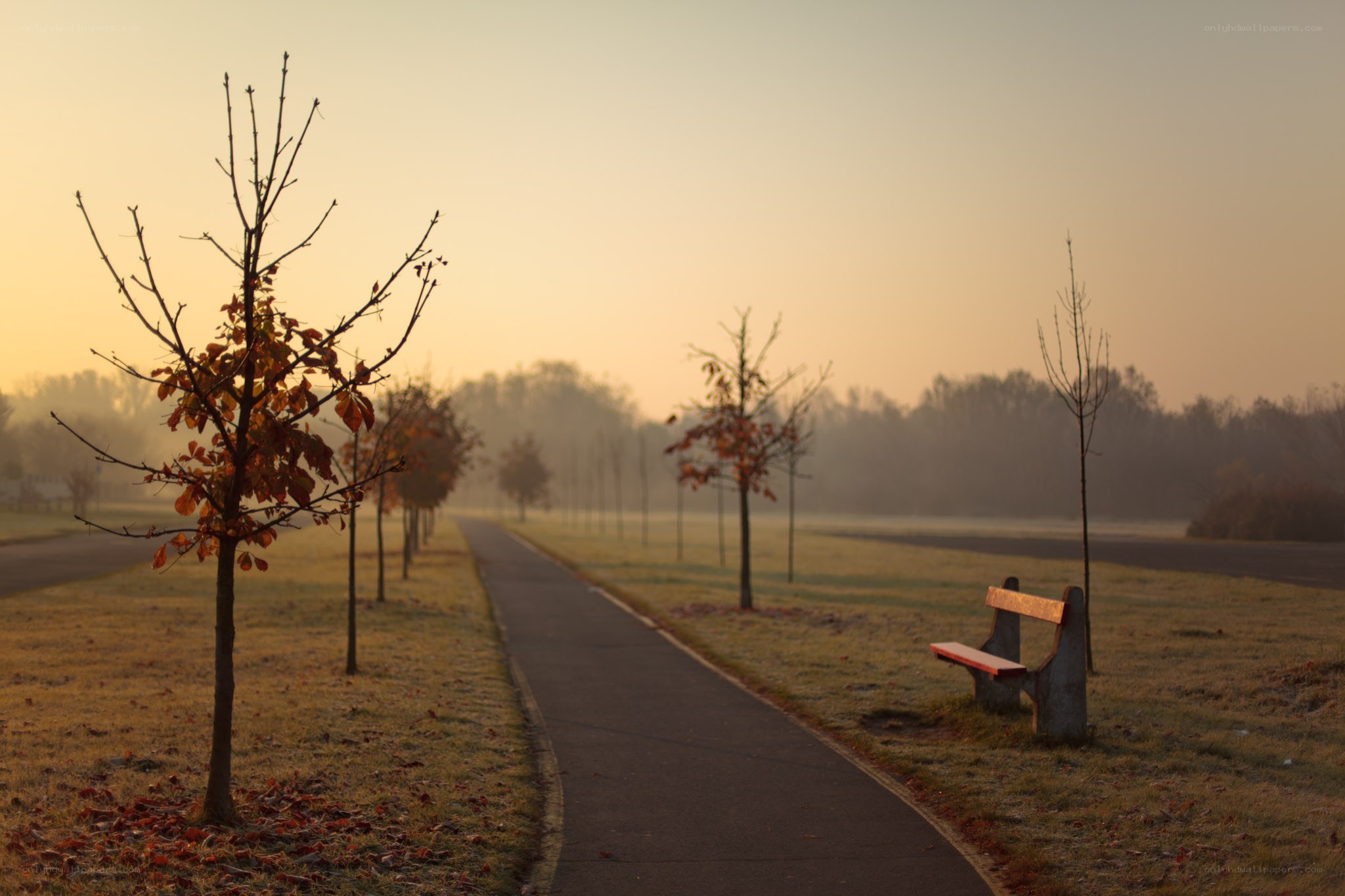 Empty park path at sunrise