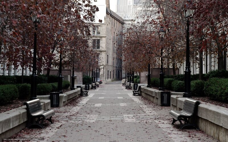 Empty park path in autumn