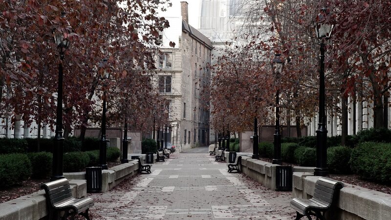 Empty Park Pathway — Gray