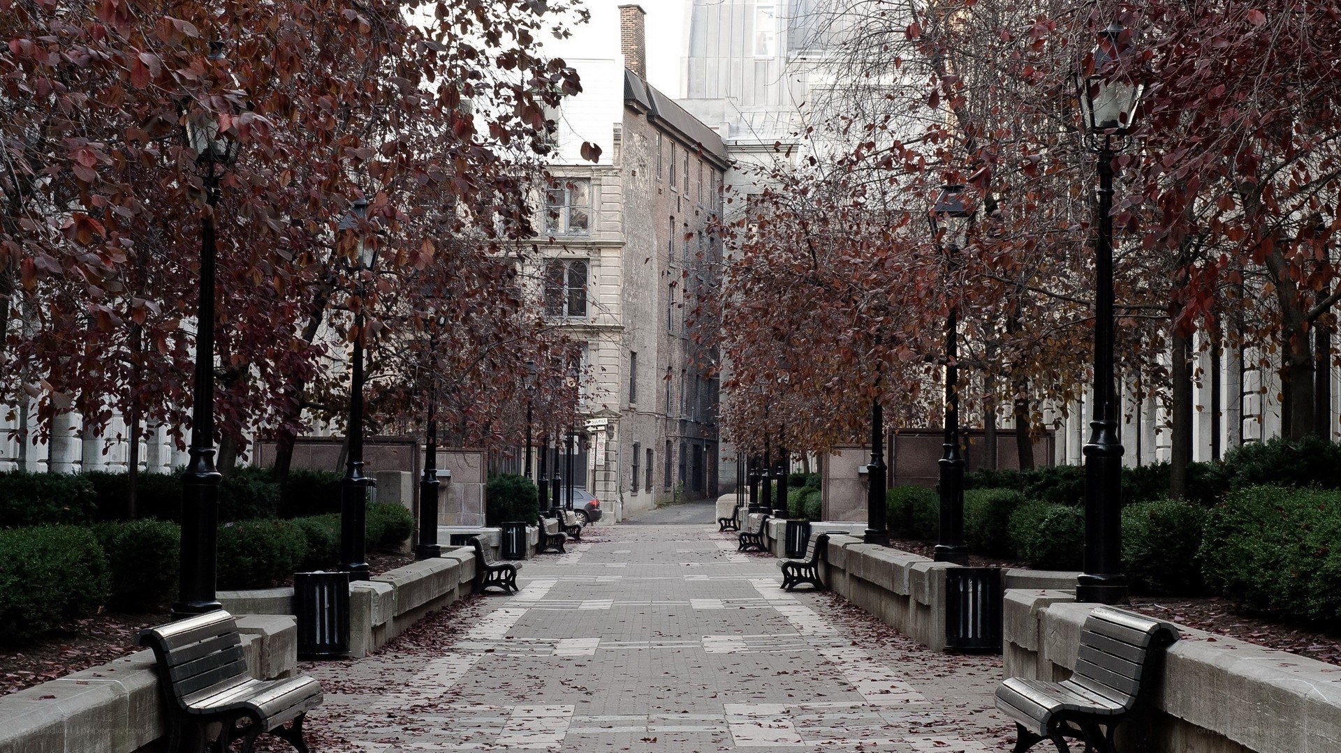 Empty park pathway in autumn