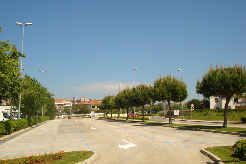 Empty parking lot with trees