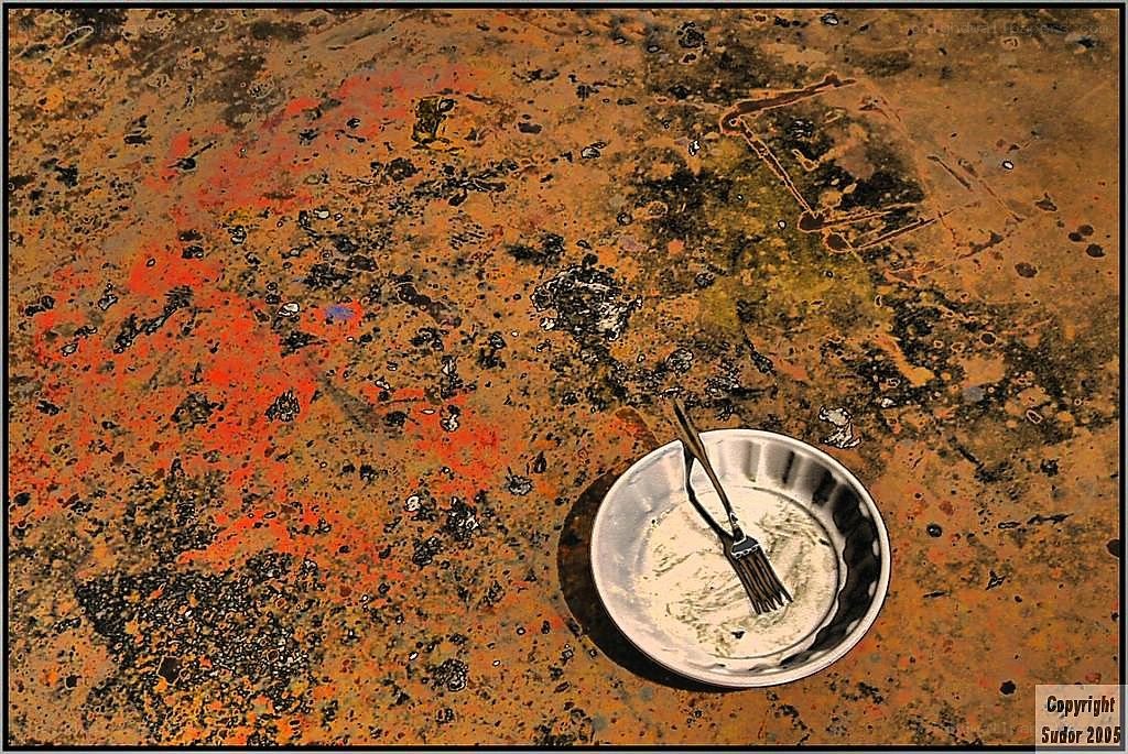 Empty plate on a dirty floor