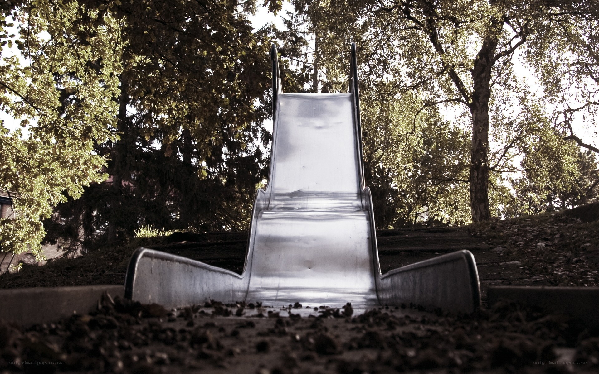 Empty playground slide in forest