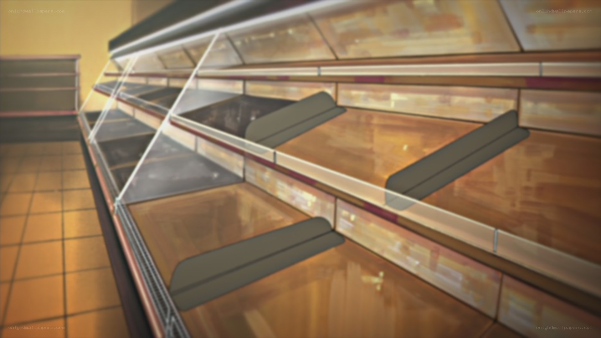 Empty refrigerated shelves