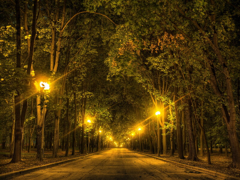 Empty Road at Night — Yellow