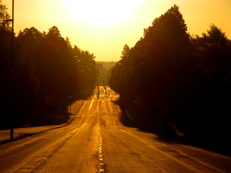 Empty Road at Sunset — Orange, Serene, Photograph, Trees
