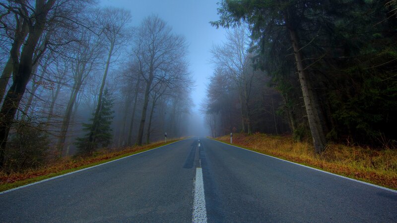Empty road in a foggy forest