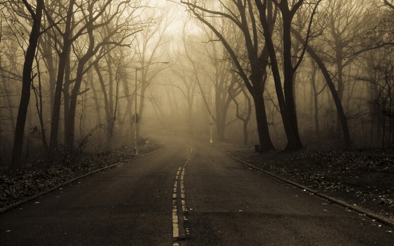 Empty Road in Fog — Brown, Mysterious, Morning