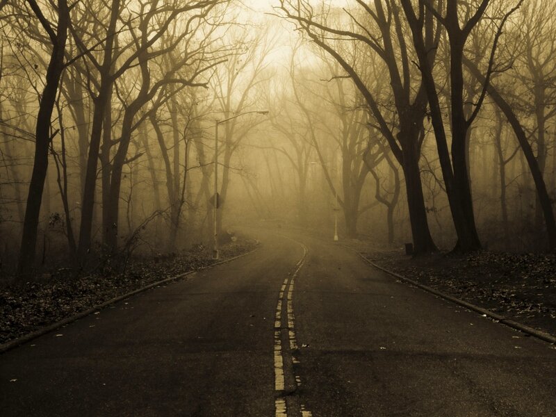 Empty Road in Fog — Brown, Mysterious