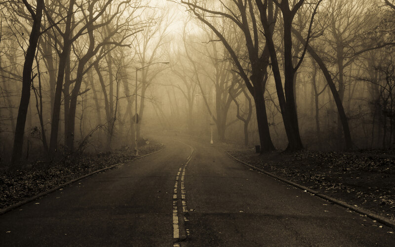 Empty Road in Fog — Brown