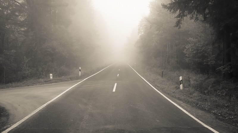 Empty Road in Fog — Gray, Misty, Morning, Photograph, Trees