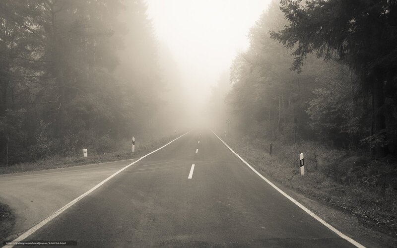Empty Road in Fog — Gray, Misty