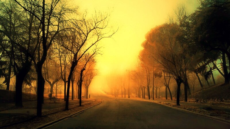Empty Road in Fog — Yellow, Dramatic