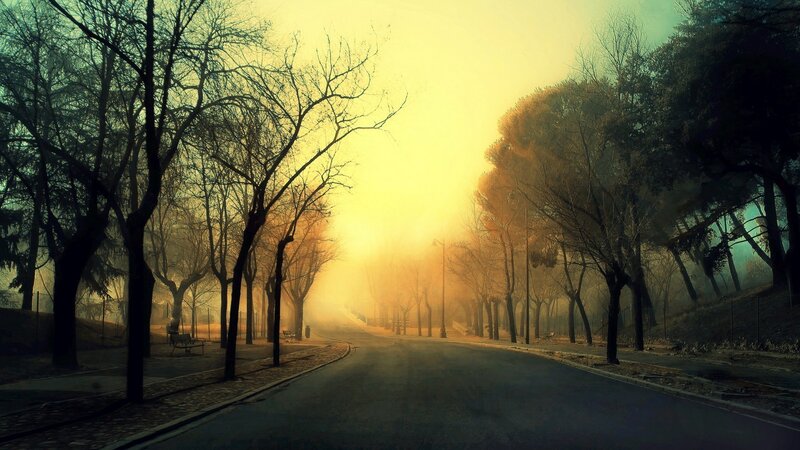 Empty Road in Fog — Yellow, Misty, Morning, Photograph