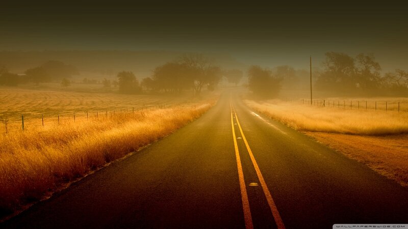 Empty Road in Fog — Yellow, Misty