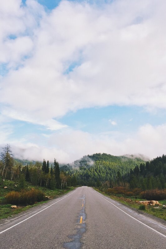 Empty Road in Forest — Blue