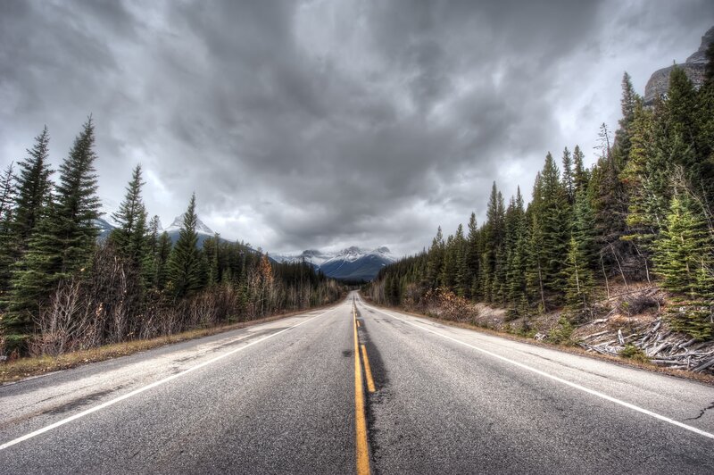 Empty Road in Forest — Gray, Dramatic