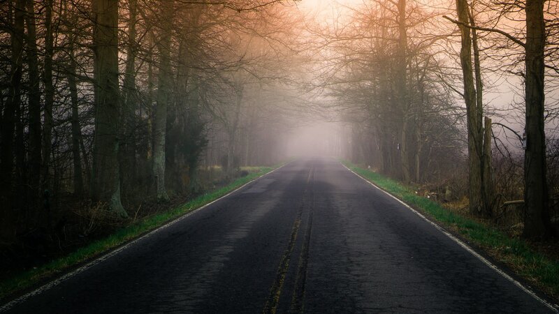 Empty Road in Forest — Gray, Misty