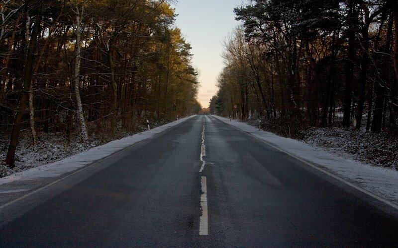 Empty Road in Forest — Gray, Serene