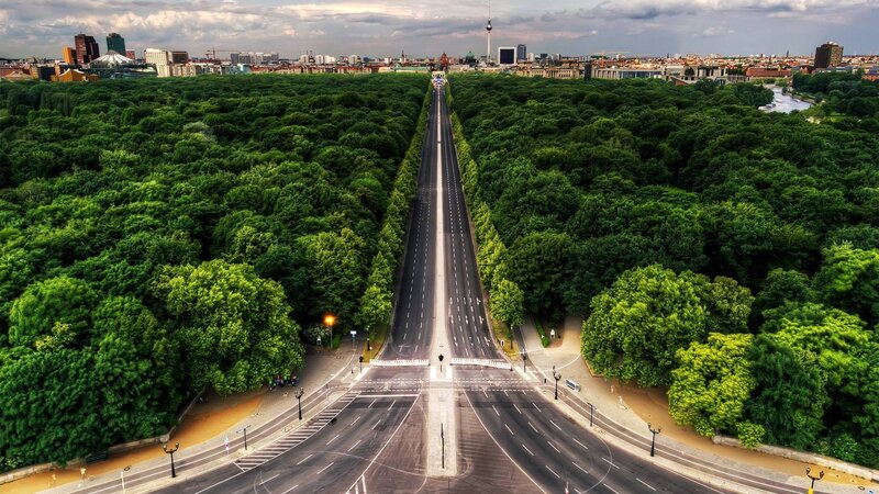 Empty Road in Forest — Green, Serene, Afternoon, Photograph, City Skyline, Trees