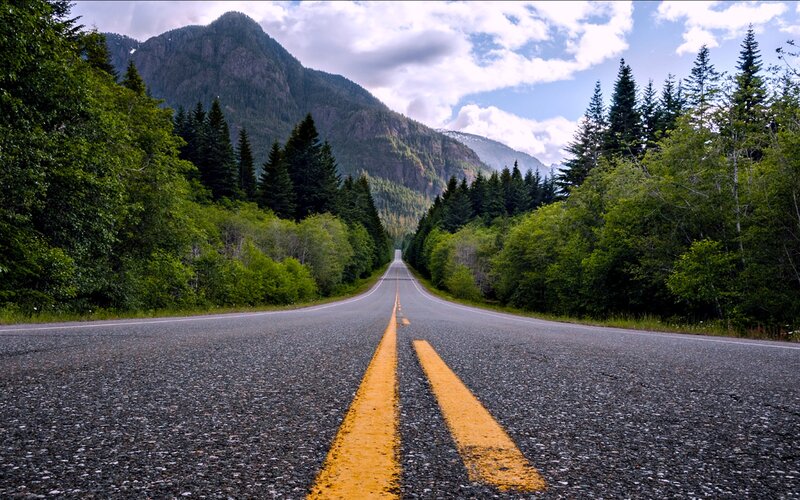 Empty Road in Forest — Green, Serene, Afternoon, Photograph