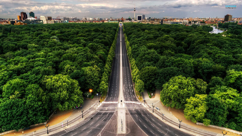 Empty Road in Forest — Green