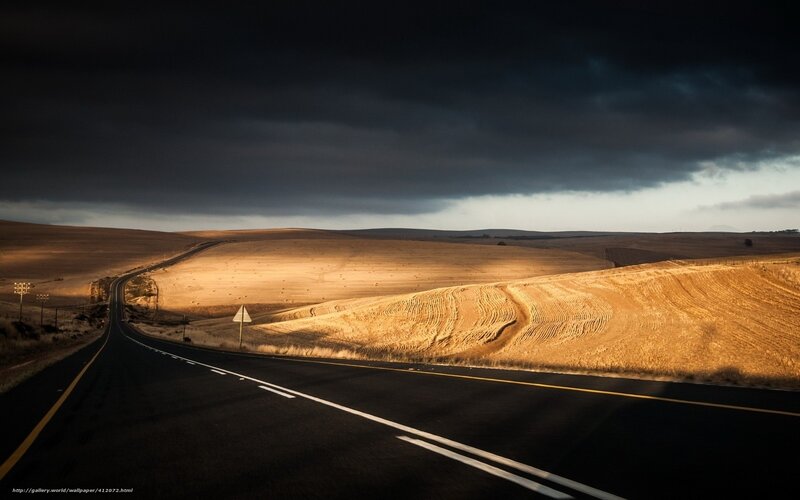 Empty Road in Golden Field