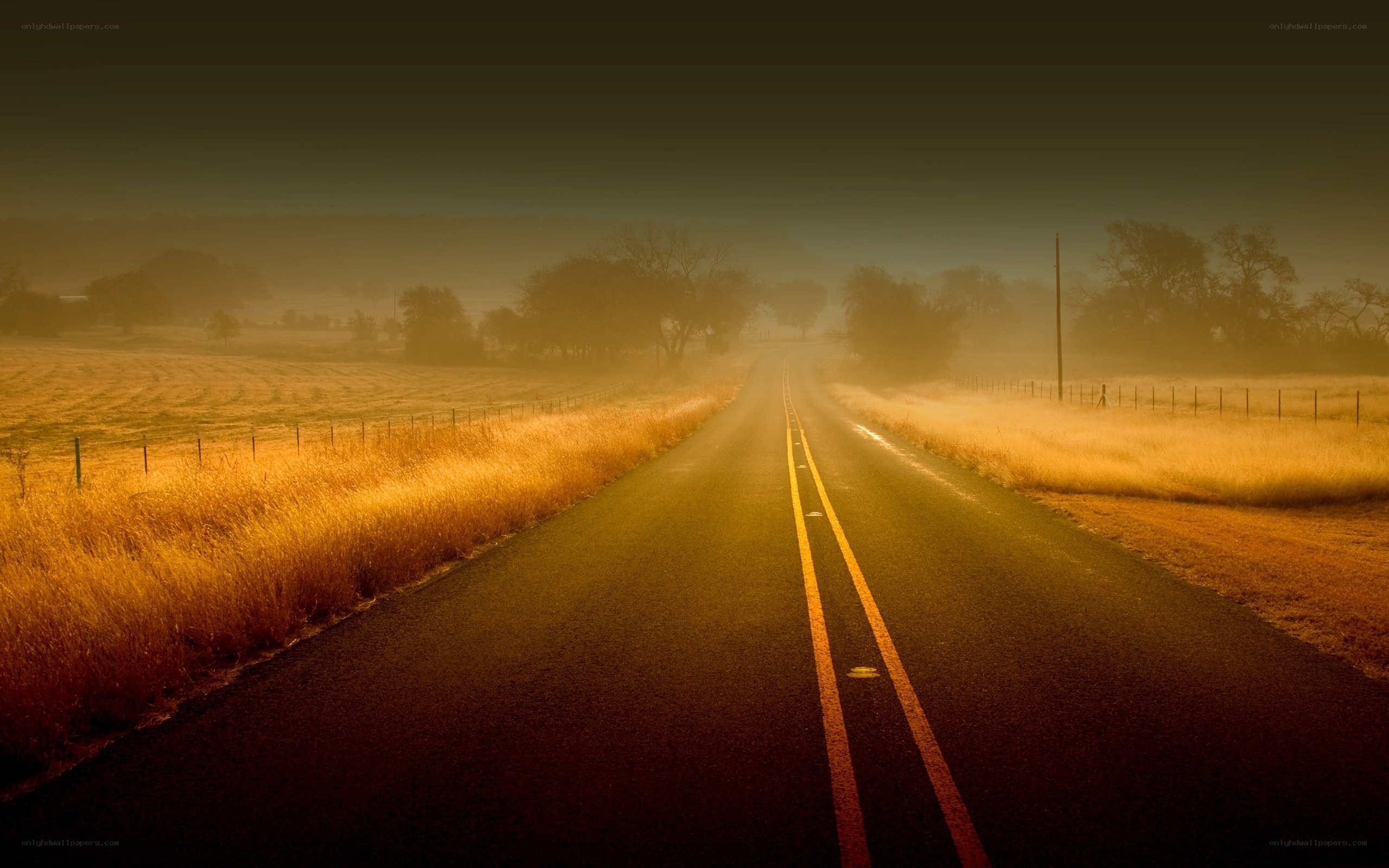 Empty road in golden mist
