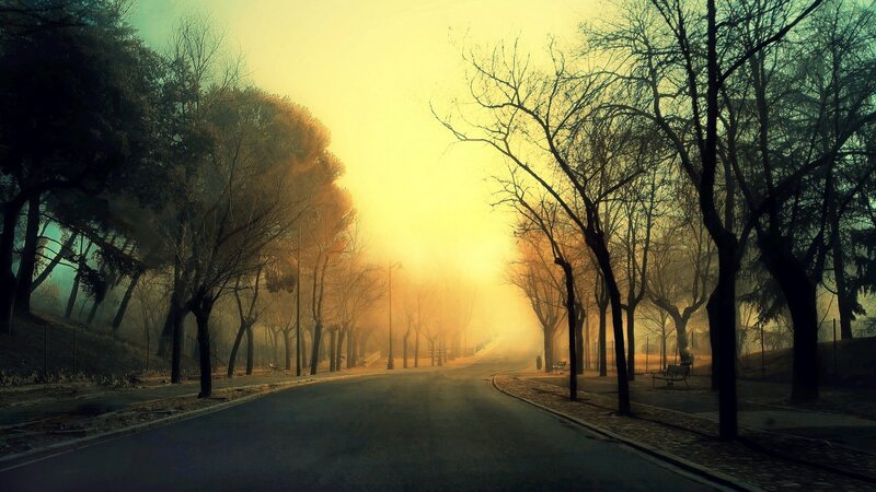 Empty Road in Park