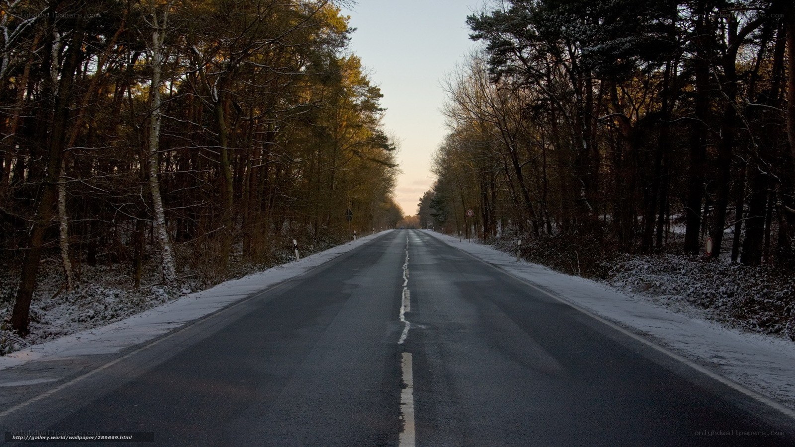 Empty road in snowy forest
