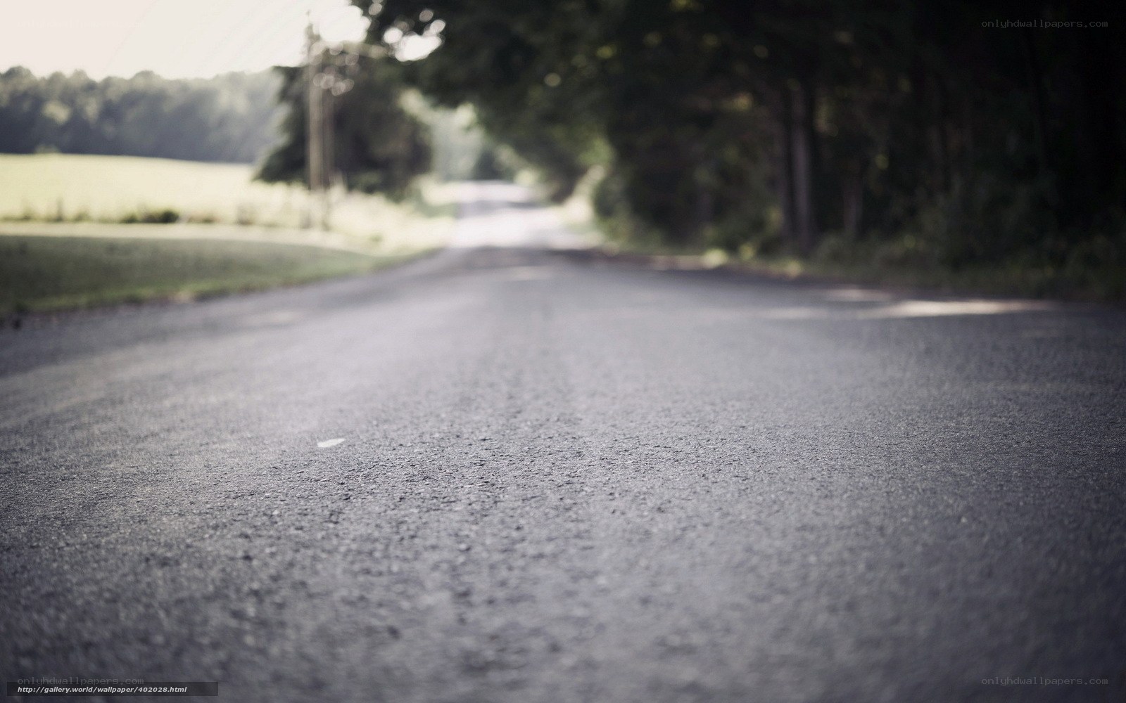 Empty road in the countryside