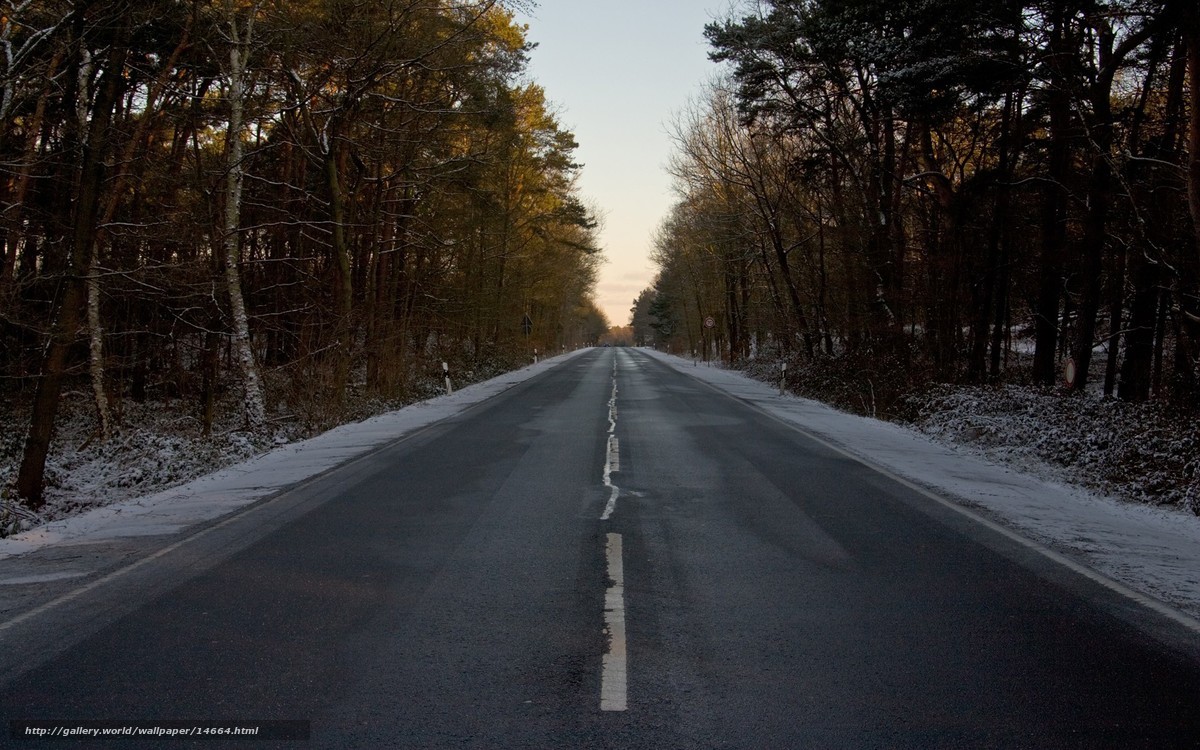 Empty road in winter forest