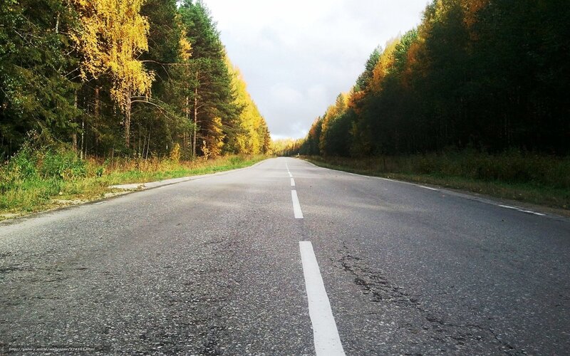 Empty road through autumn forest