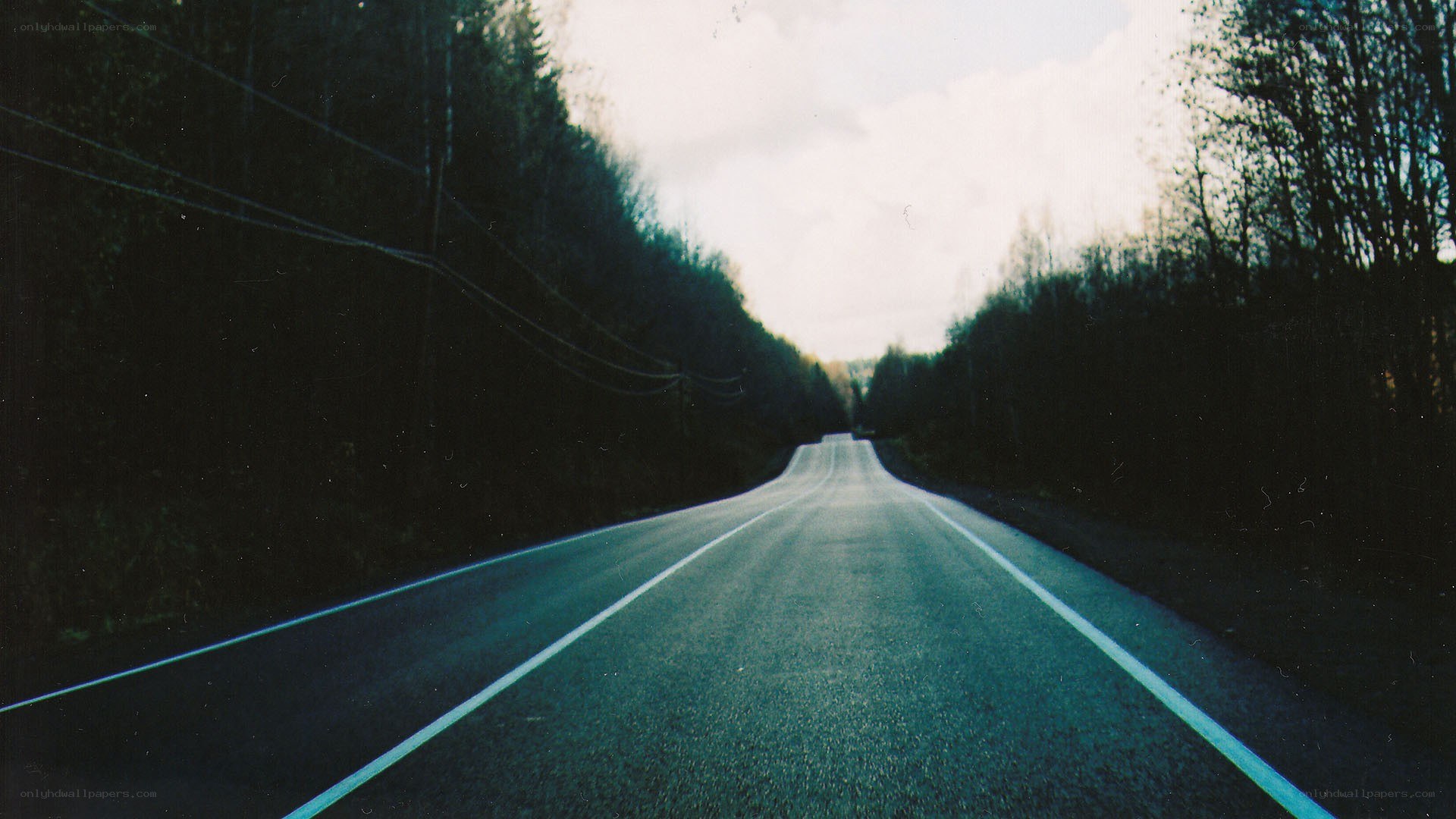 Empty road through forest