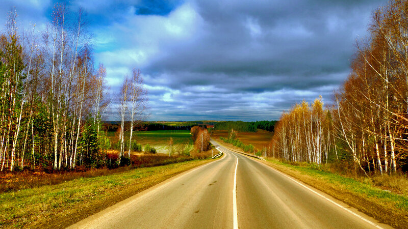 Empty Road Through Forest — Blue