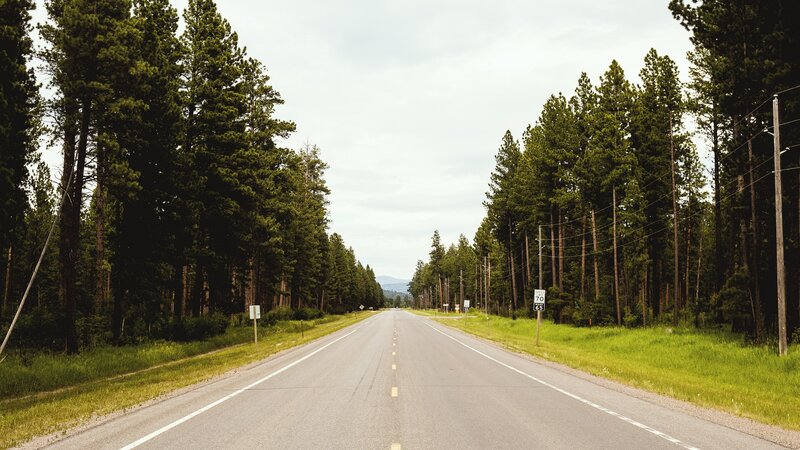 Empty Road Through Forest — Green, Serene