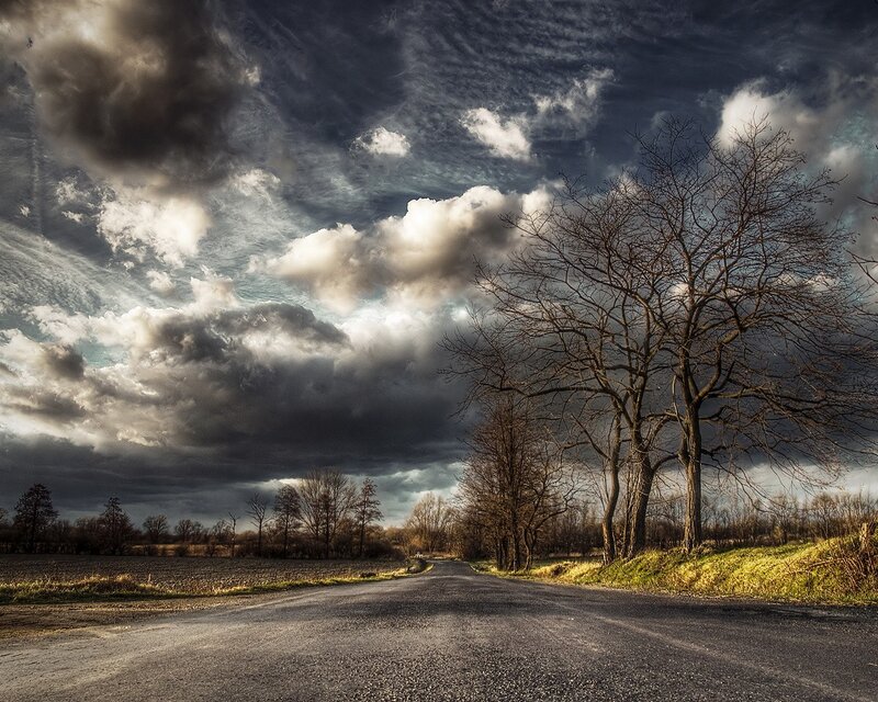 Empty Road under Stormy Sky — Gray, Dramatic, Autumn, Photograph, Trees