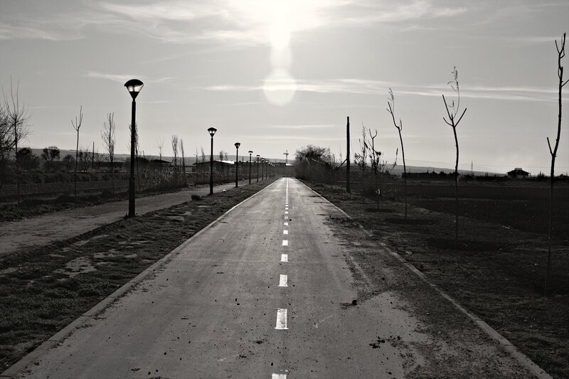 Empty Road with Streetlights