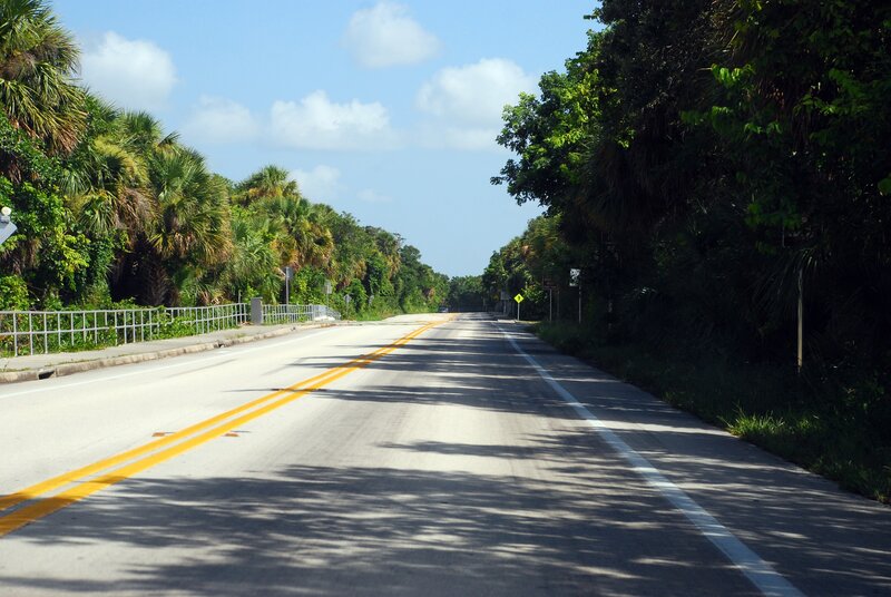 Empty Road with Trees — Green, Serene