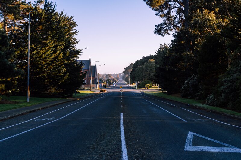 Empty Road with Trees — Green