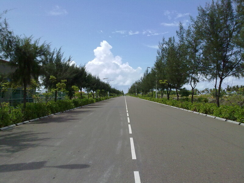 Empty road with trees