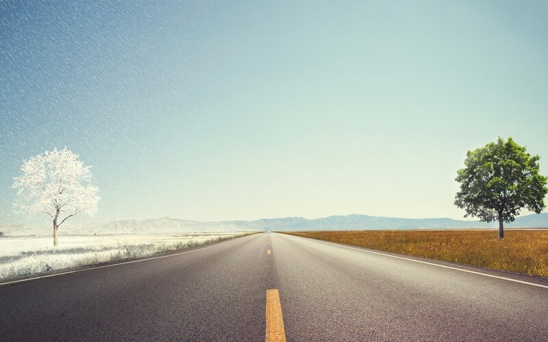 Empty Road with Two Trees