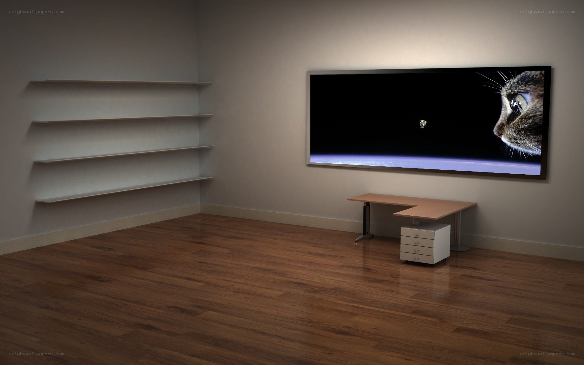 empty room with cat artwork