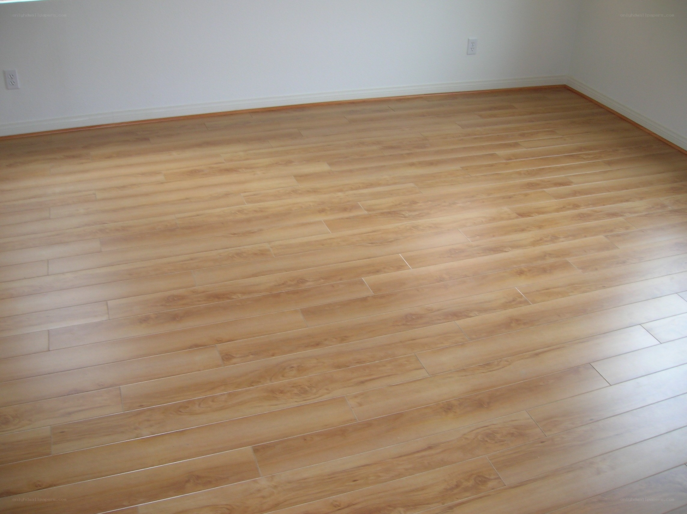 empty room with wood flooring
