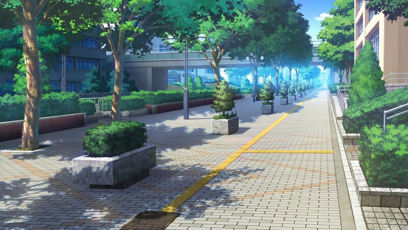 Empty Sidewalk with Trees